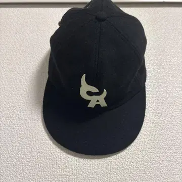 타일러, 더 크리에이터 CHROMAKOPIA 투어 캡