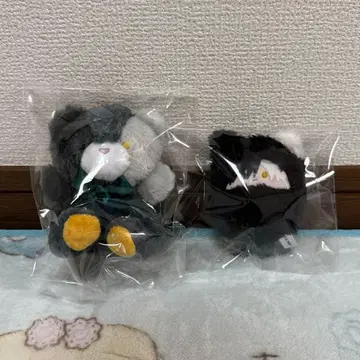 WINDBREAKER 사쿠라 하루카 타피누이 푸치베어 마스코트 2종 세트