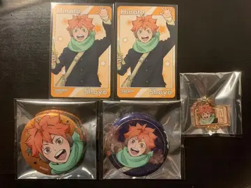 하이큐 코스모 월드 히나타