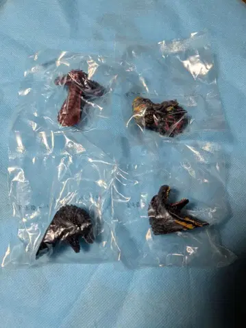 고질라 제일복권 괴수난무 거친 것들 E상 몬스터 헤드 마그넷 4종