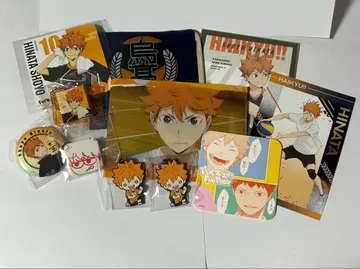 히나타 쇼요 세트