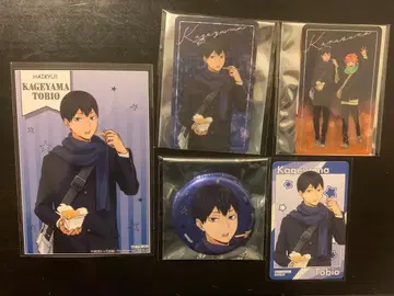 하이큐 코스모 월드 카게야마