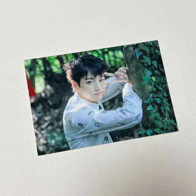 방탄 정국 버터플라이드림 버플드 인화사진