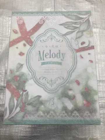 미개봉 새상품 B-STYLE 봄의 신부 멜로디 1/4 프리잉