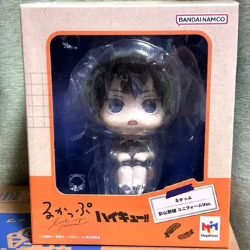 하이큐 룩업 카게야마 토비오