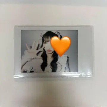 iLiFE! 코구마 마무 란체키 수국