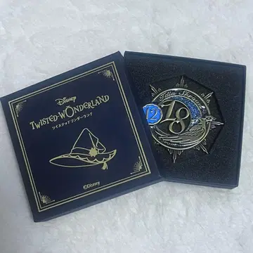 이데아 슈라우드 마법 모자 클로징풍 브로치 트위스테