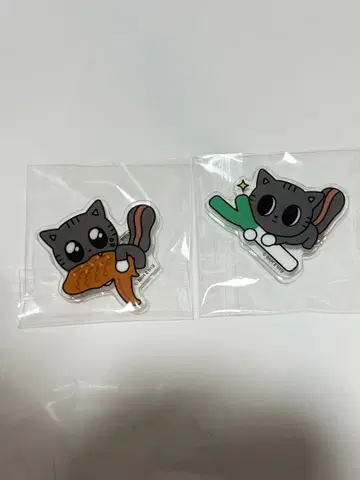 TXT 태현 다고냥 아크릴 배지 지역 한정 아이치 사이타마