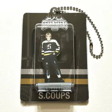 25 SEVENTEEN's HOME 아크릴 키링 에스쿱스