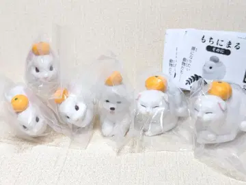 모치니마루 그 두 번째 6개 세트