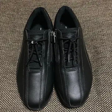 미즈노 FREEWALKAL 워킹화 26.0 EE