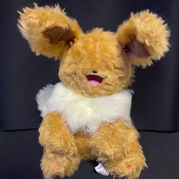 포켓몬 WHO are YOU? 이브이 봉제 인형