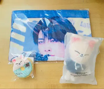 Stray Kids 아이엔 폭시니 굿즈 3종 세트