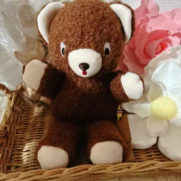 곰 봉제 인형 오스탈기 브라운