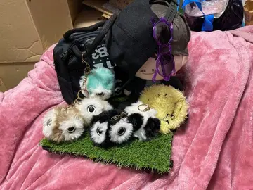 퍼 폼폼 키링 백참 새 올빼미 블랙 화이트 스카이블루 베이지