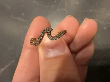 론 헤르만 물결 디자인 스톤 반지