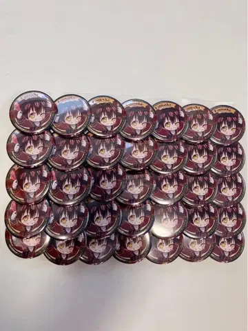 하나코 군 캔뱃지 35개