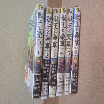 짐승왕과 약초 1-6권