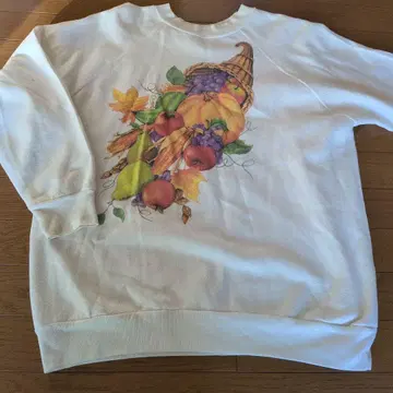 과일 모티브 맨투맨 구제 의류 XL