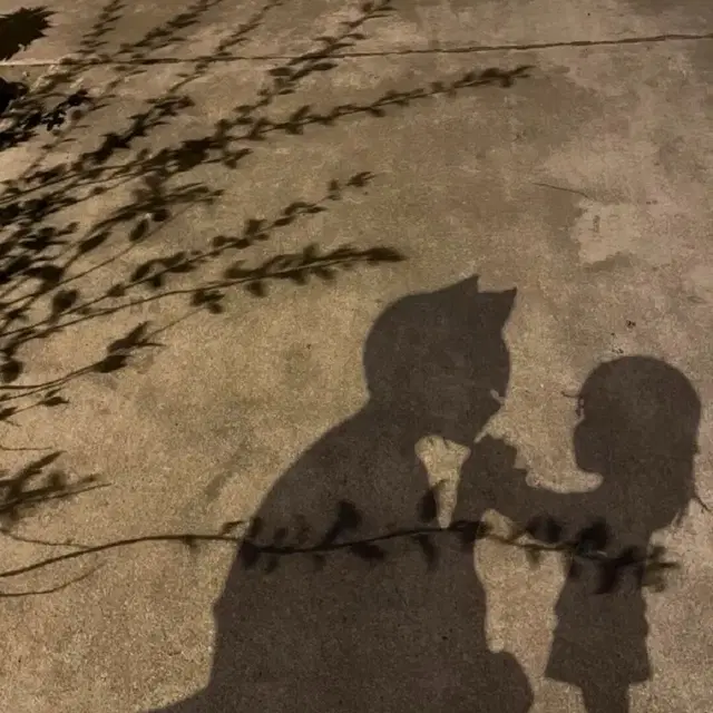 제베원개봉앨범