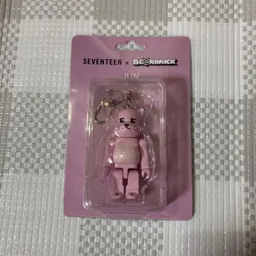 SEVENTEEN 세븐틴 BE@RBRICK 베어브릭 준 100%