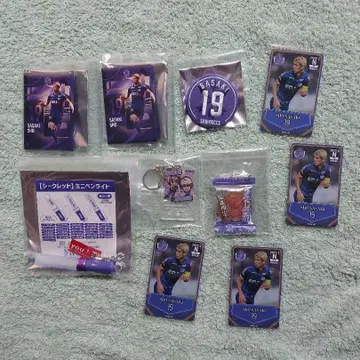 산프레체 히로시마 사사키 쇼