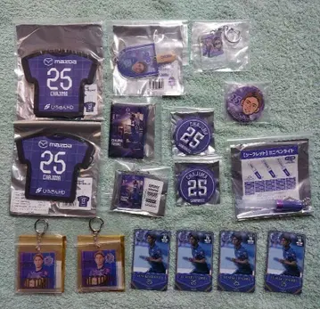 산프레체 히로시마 차지마 유스케