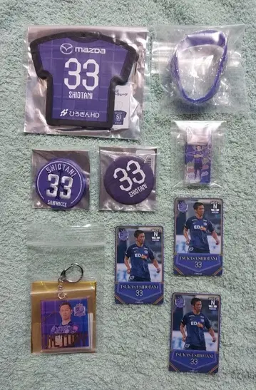 산프레체 히로시마 시오타니 츠카사