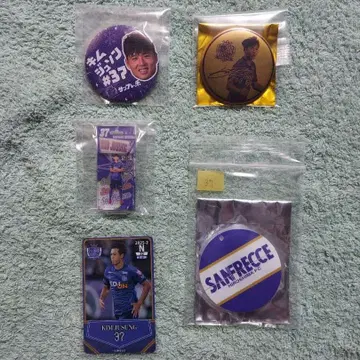 산프레체 히로시마 김주성