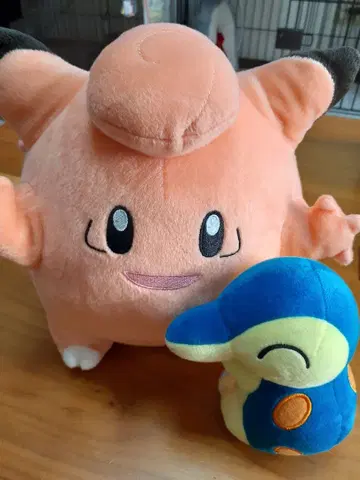 포켓몬 봉제 인형 본체 2개 세트