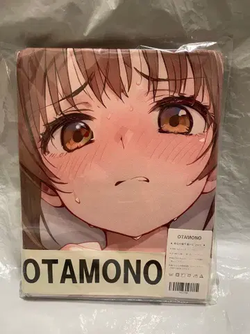 17358 거 즉치 단노우라 치카