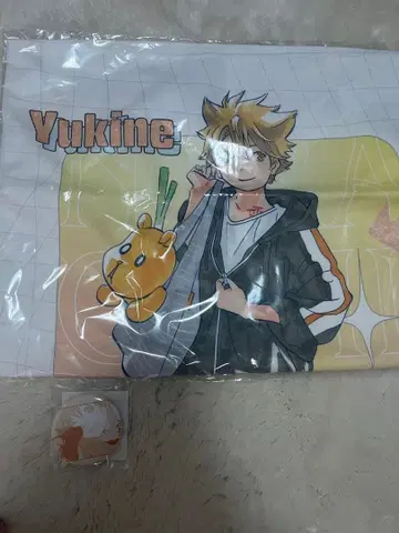 노라가미 유키네 묶음 판매