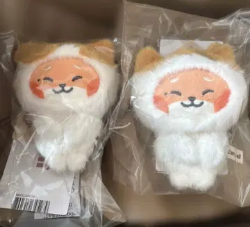 튀니니 마그넷 사진 홀더