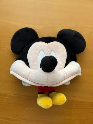 디즈니 미키 팬캡