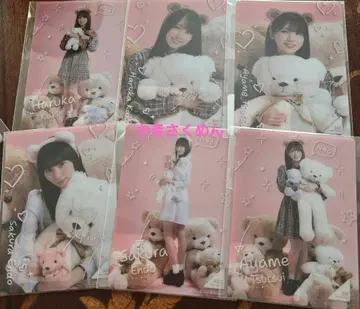 노기BOX 라이트 Teddy Dream Town 모바카 레어 노멀 세트