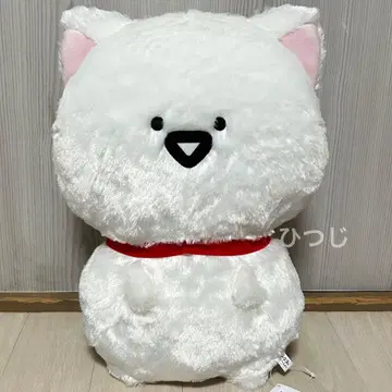 오분구토이잇쇼 고양이로 변신 봉제 인형 XL 프리미엄