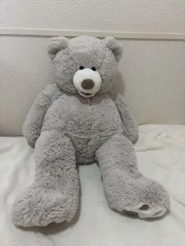 테디베어 곰 봉제 인형 25인치 그레이 코스트코