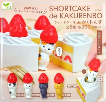 숏 케이크 de 숨바꼭질