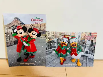 디즈니씨 사진 팬 크리스마스 2025 사진 미키 미