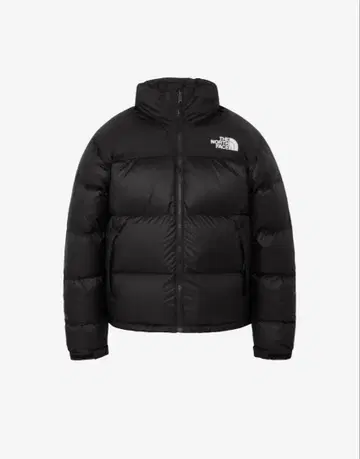 THE NORTH FACE 눕시 2025 L 사이즈