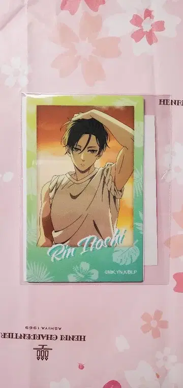 블루 록 이토시 린 미니 포토 카드 andgallery