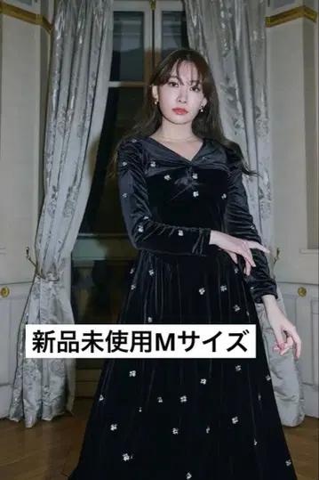 Belmont Floral Velour Dress herlipto