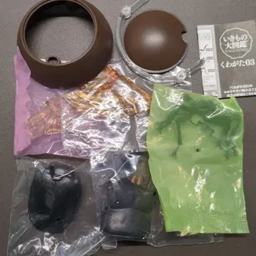 오오쿠와가타 생물대도감03