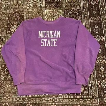 90s USA Champion ReverseWeave MICHIGAN