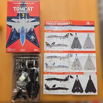 F-14D 톰캣 미국 해군 제9 시험 평가 비행대 뱀파이어즈