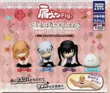 어깨 쿵 Fig. 주문은 토끼입니까? 전 4종 풀컴프