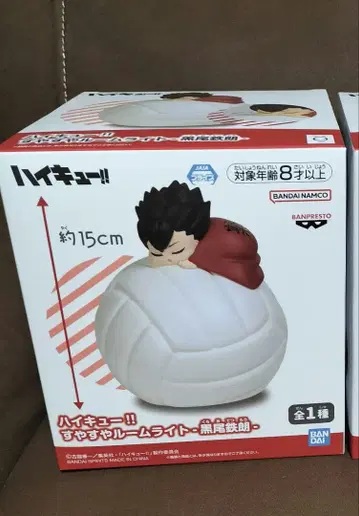 2 하이큐!! 룸 라이트 쿠로오 테츠로