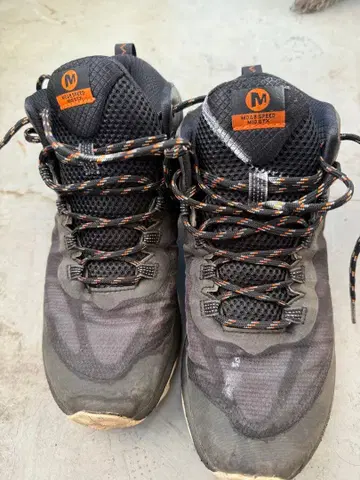 MERRELL GORE-TEX 트레킹 슈즈 MOABSPEED