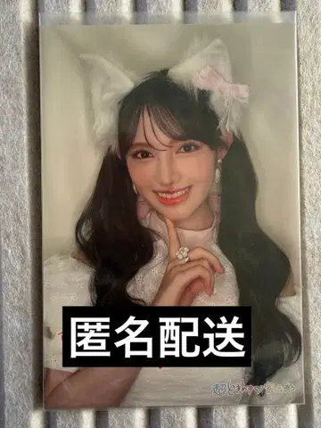 조직 두목 복권 엽서 초 도키메키 선전부 스다 아키