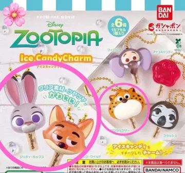 주토피아 아이스캔디 참 3종 세트 1